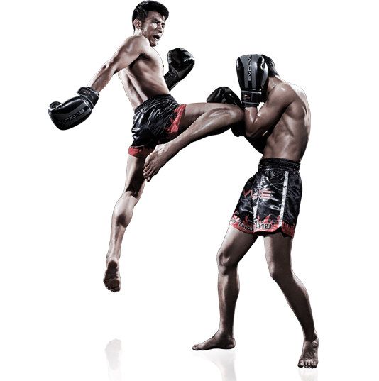 https://new.roninacademy.com.au/wp-content/uploads/2015/08/flying-knee-MT.png