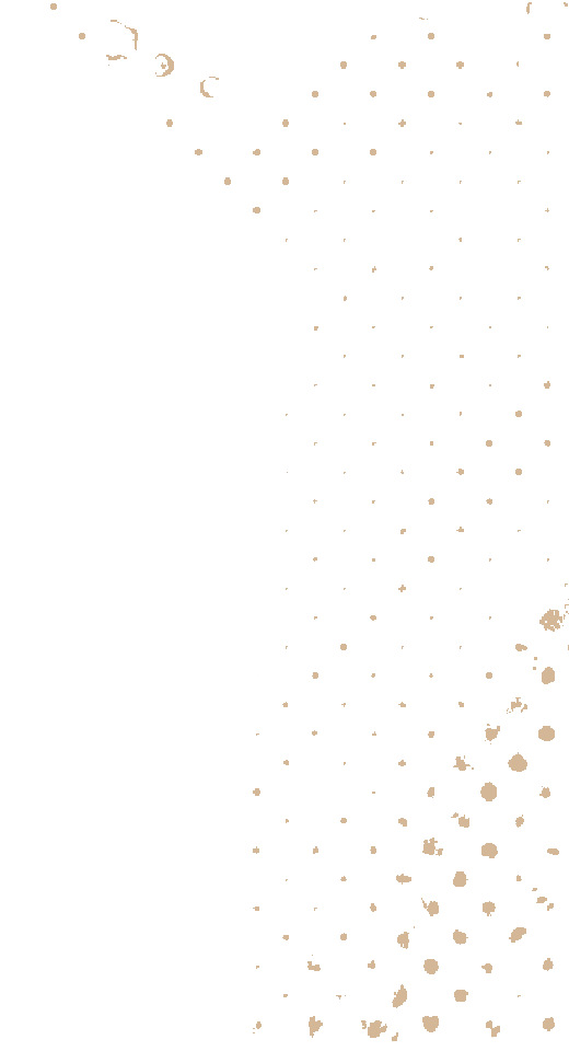 https://new.roninacademy.com.au/wp-content/uploads/2021/04/floating_image_02.png