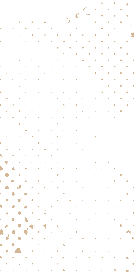 https://new.roninacademy.com.au/wp-content/uploads/2021/04/floating_image_03.png