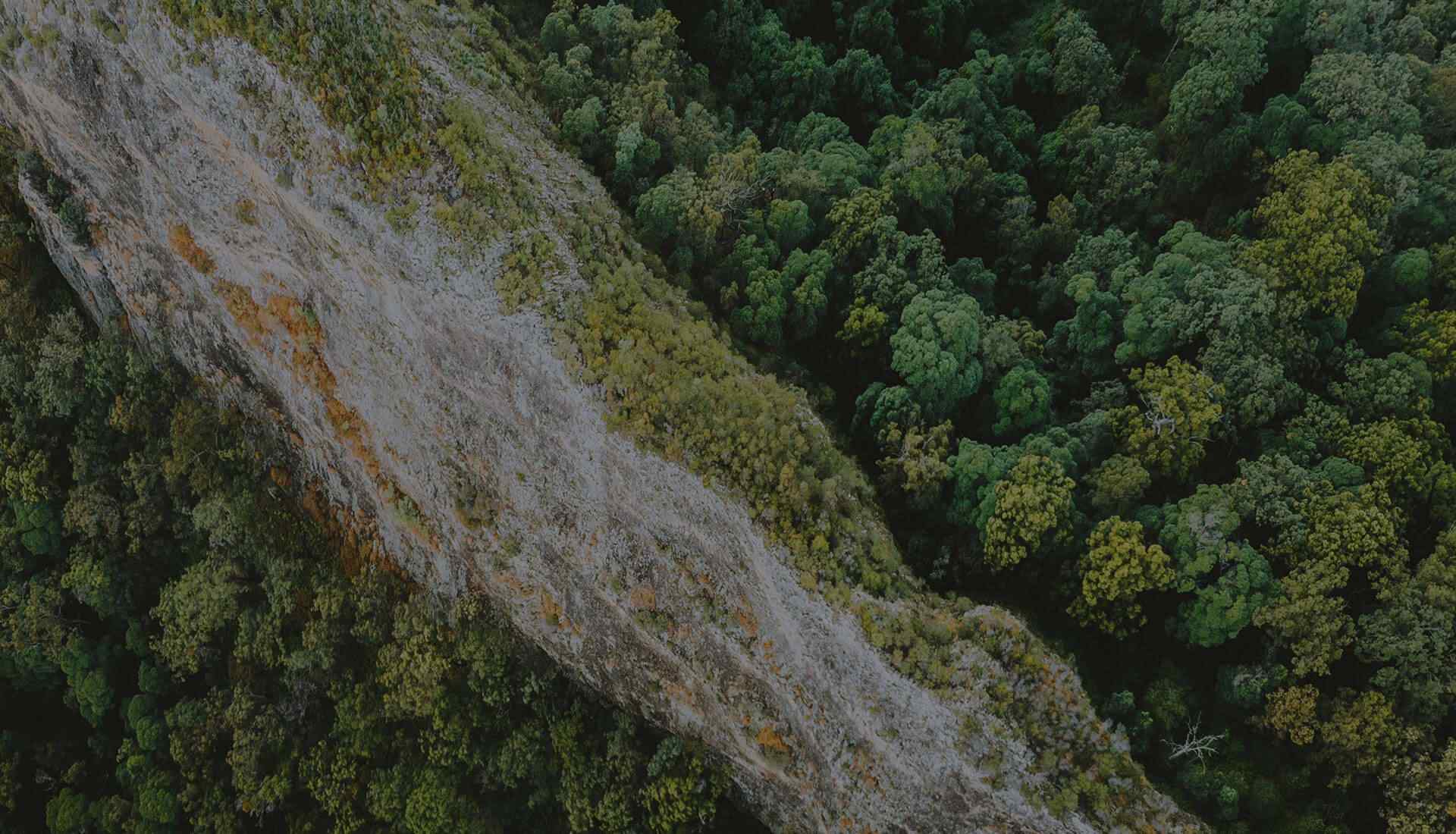 background_about https://new.roninacademy.com.au/wp-content/uploads/2021/05/background_about.jpg