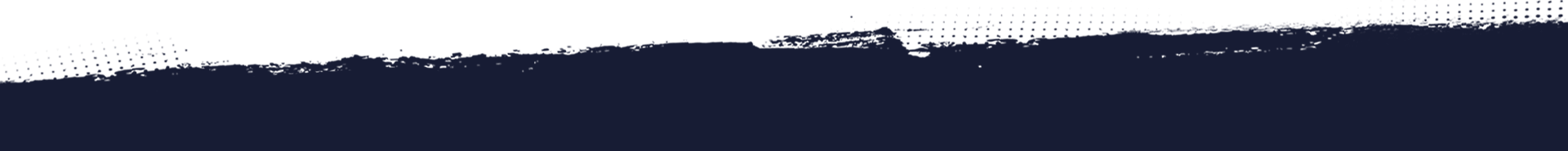 https://new.roninacademy.com.au/wp-content/uploads/2021/05/blue_bottom_wave_02.png