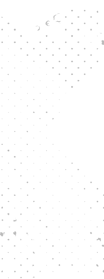 https://new.roninacademy.com.au/wp-content/uploads/2021/05/floating_image_03_01.png